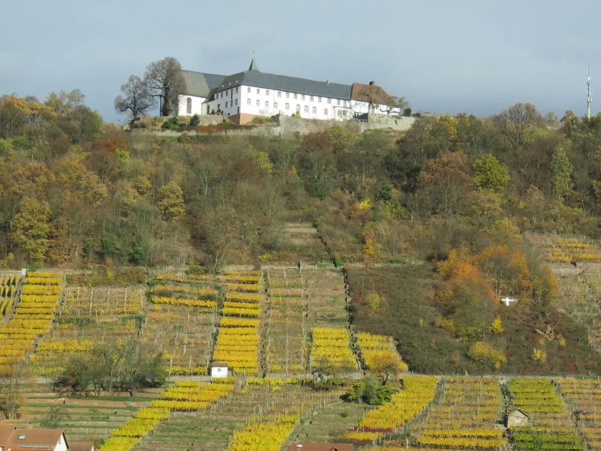 Ferienwohnungen Haus Albert Großheubach 公寓