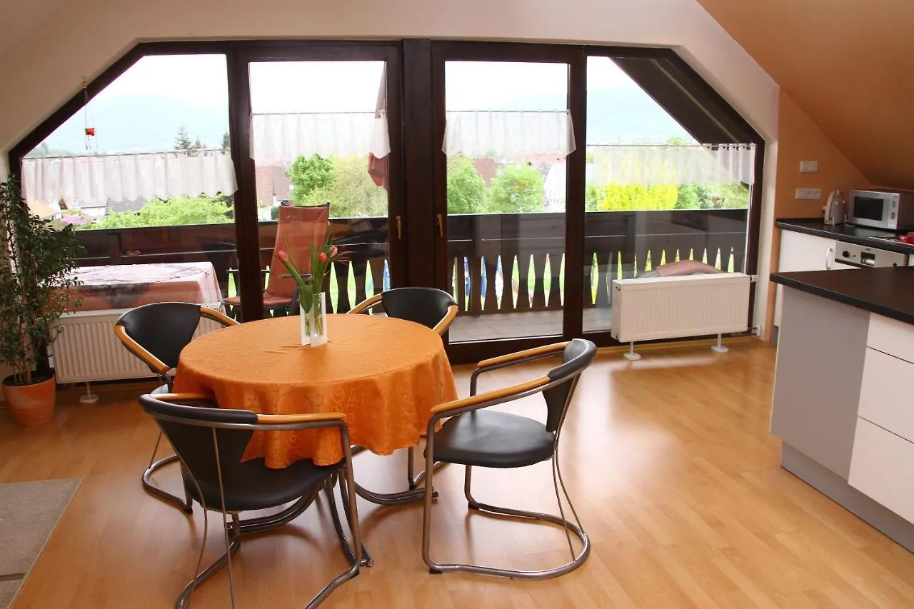 Ferienwohnungen Haus Albert Großheubach 0*,