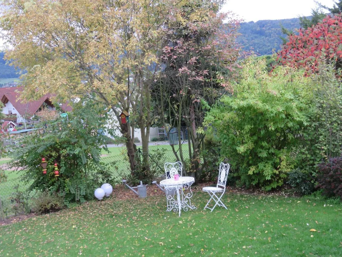 Ferienwohnungen Haus Albert Großheubach 0*,